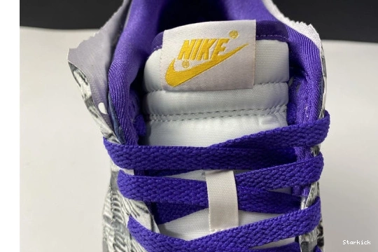 DJ4636-100 Nike the Low Dunk School Old Flip 0831